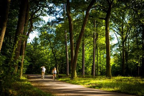 Bois de Boulogne : que savoir pour profiter de sa。